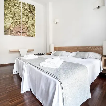 Anchieta 60 라 라구나