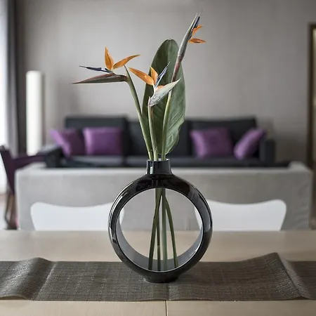 아파트 Anchieta 60 *