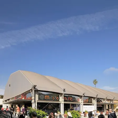 Anchieta 60 La Laguna (Tenerife)